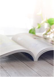 ウェブカタログ